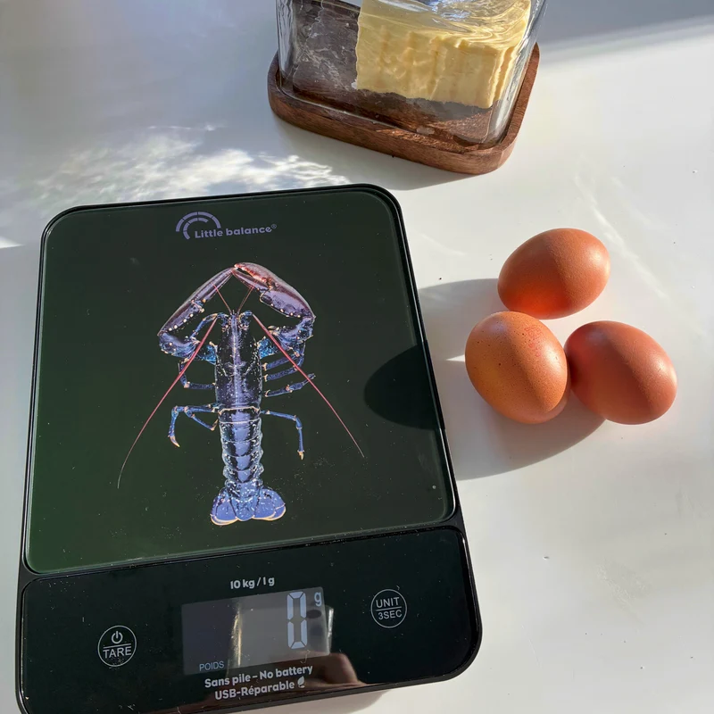 Balance de cuisine, Happy Genius 10 Blue Homard USB, Sans pile