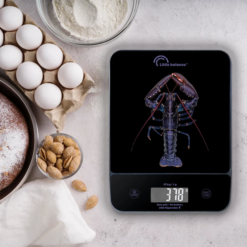 Balance de cuisine, Happy Genius 10 Blue Homard USB, Sans pile