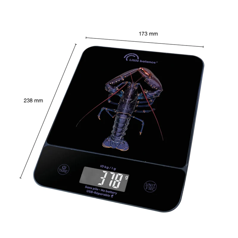 Balance de cuisine, Happy Genius 10 Blue Homard USB, Sans pile