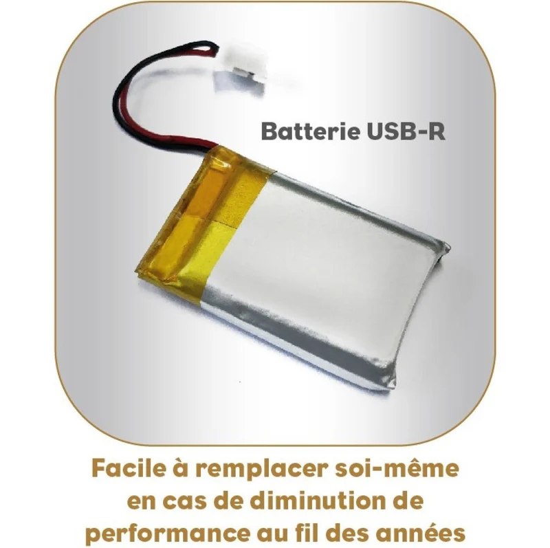 Balance de cuisine, Happy Genius 10 Pâtisserie USB, Sans pile