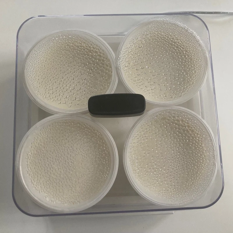 Kit 4 Faisselles pour Dessertière & Yaourtière Little Desserts