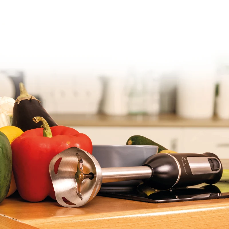 Mixeur Plongeant, Speed Inox 600 Plus