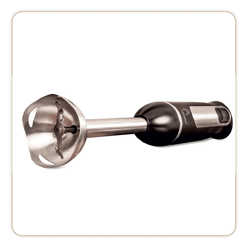 Mixeur Plongeant, Speed Inox 600 Plus