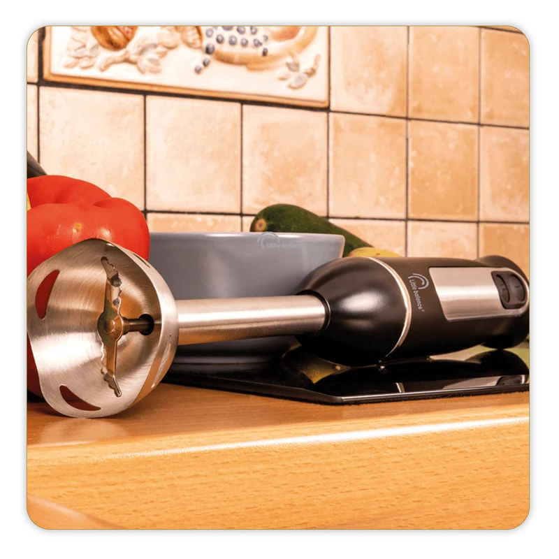 Mixeur plongeant, Speed Inox 600