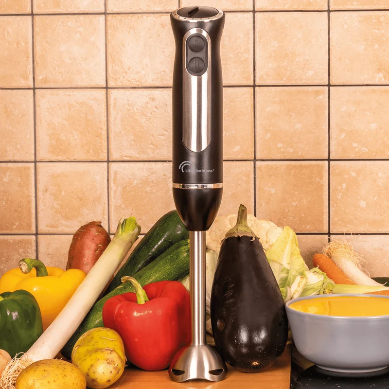 Mixeur plongeant, Speed Inox 600