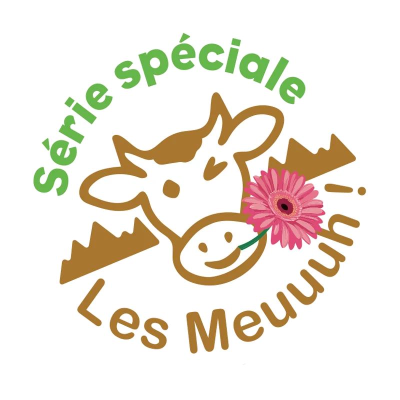 Appareil à raclette modulable, Wing & Cheese 4, Les Meuuuh, Muscade
