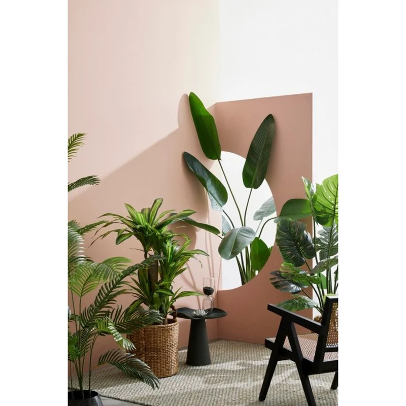 Plante philodendron h120 cm en pot 60x60