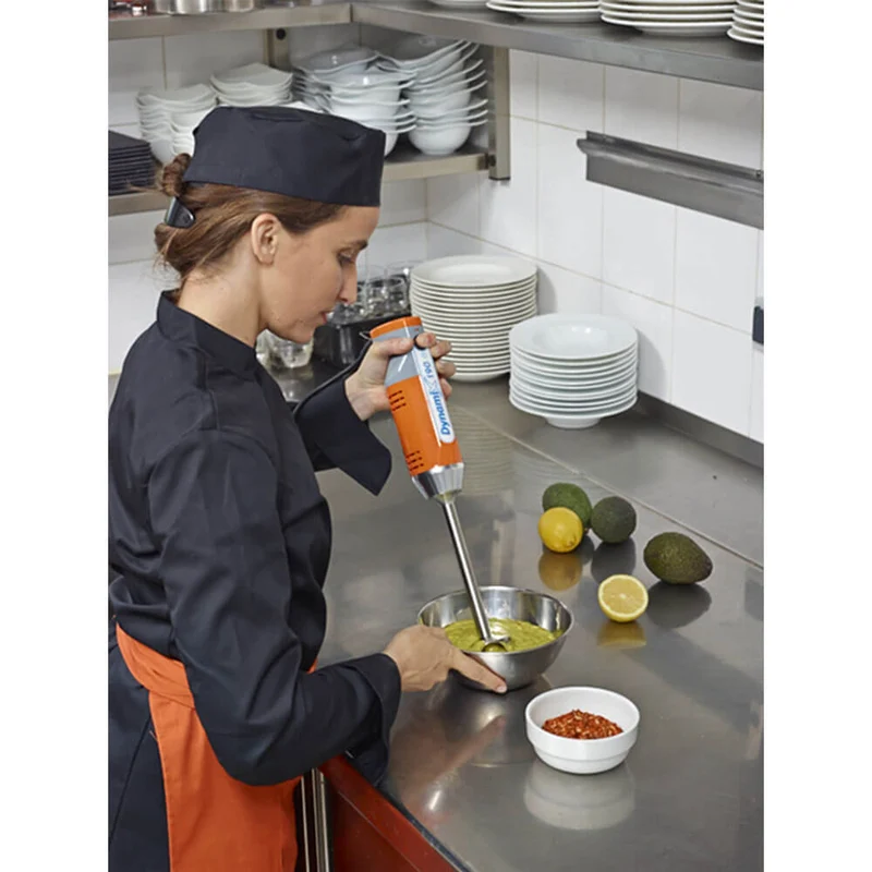 Mixeur plongeant professionnel DYNAMIX TRIO 160 - DYNAMIC