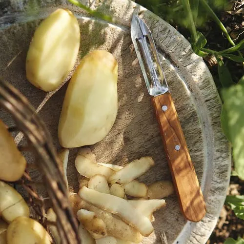 Coffret Les Essentiels Olivier - OPINEL