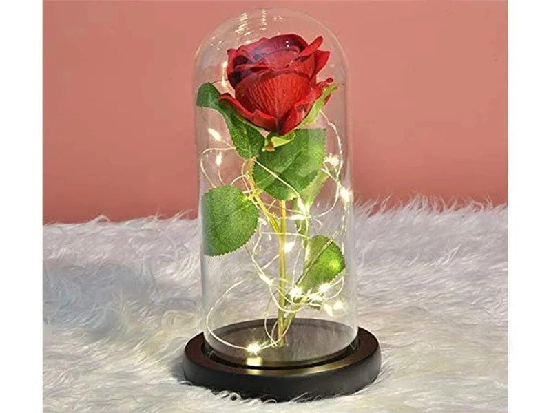 Romantische LED Rose im Glas Geschenkidee Geburtstag Valentinstag Jahrestag 💕-