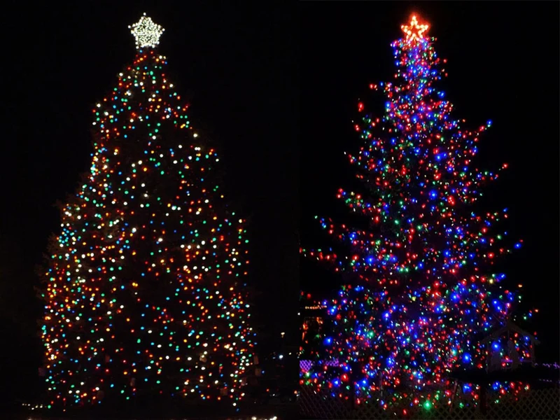 Multicolour Christmas Tree Lights 300 LED Indoor – 8 Lighting Modes 21m