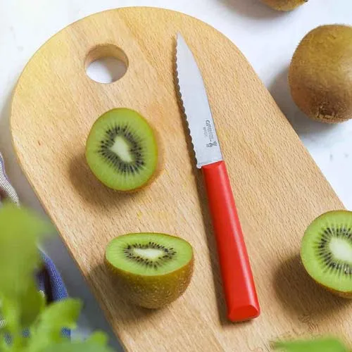 Couteau Cranté Essentiel n°313 - OPINEL