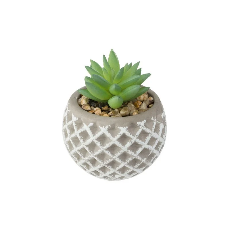 Succulente H9 cm avec pot en béton