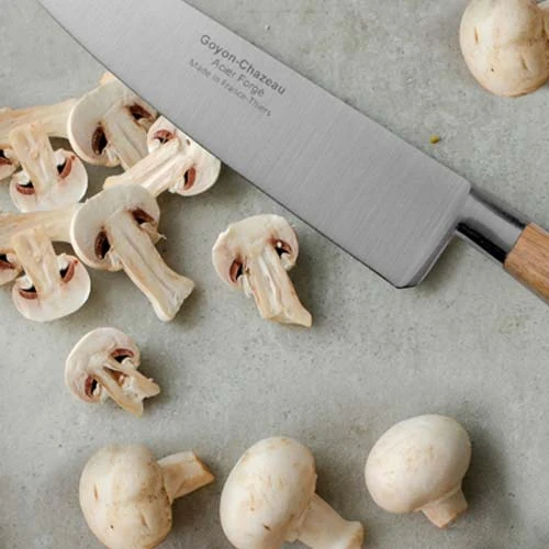 Set de 4 couteaux de cuisine Tradichef sur support magnétique - GOYON-CHAZEAU