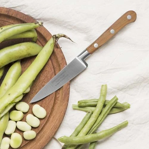 Set de 4 couteaux de cuisine Tradichef sur support magnétique - GOYON-CHAZEAU