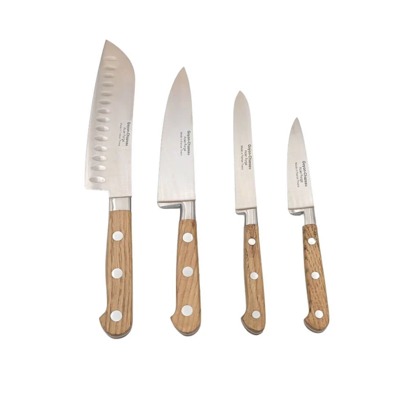 Set de 4 couteaux de cuisine Tradichef sur support magnétique - GOYON-CHAZEAU