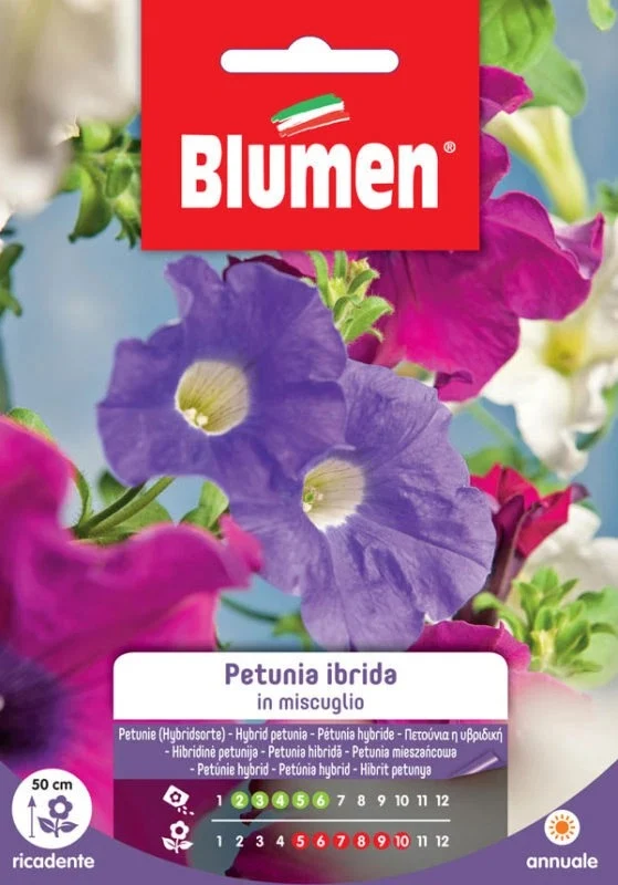 Pétunia hybride en mélange