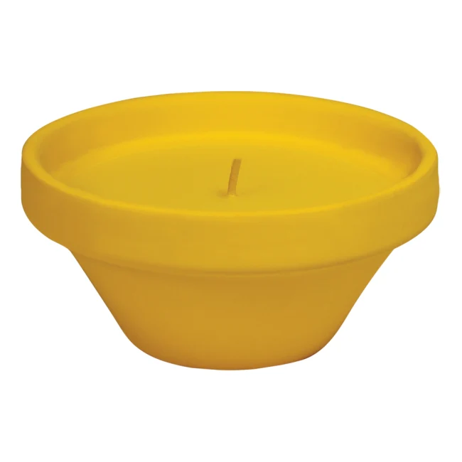 Vase Caribe en terre cuite à la citronnelle