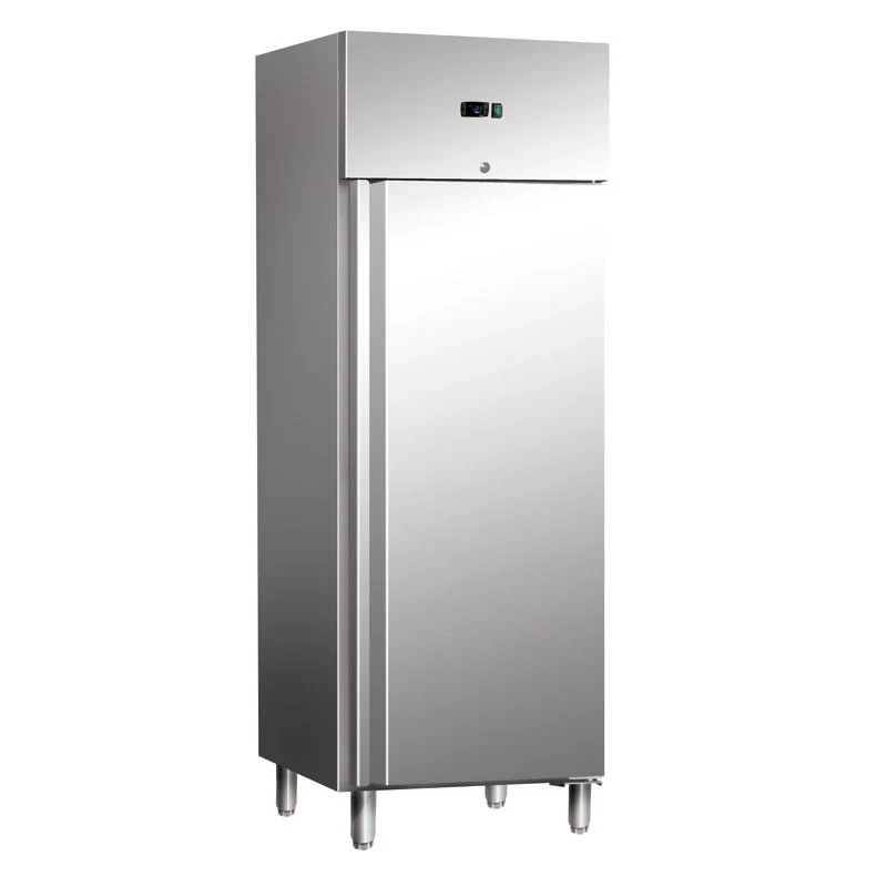 Armoire réfrigérée négative -18/-22°C - 560 L - Classe énergétique B - AGE600BTB - Nosem