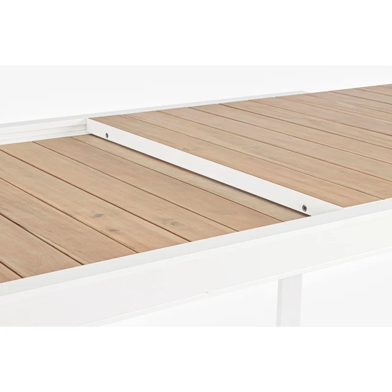 Table extensible en aluminium 220-340x100