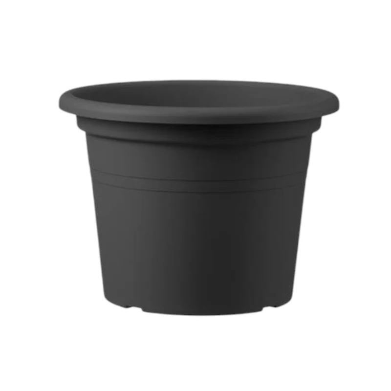 Vase rond basique en frêne 35