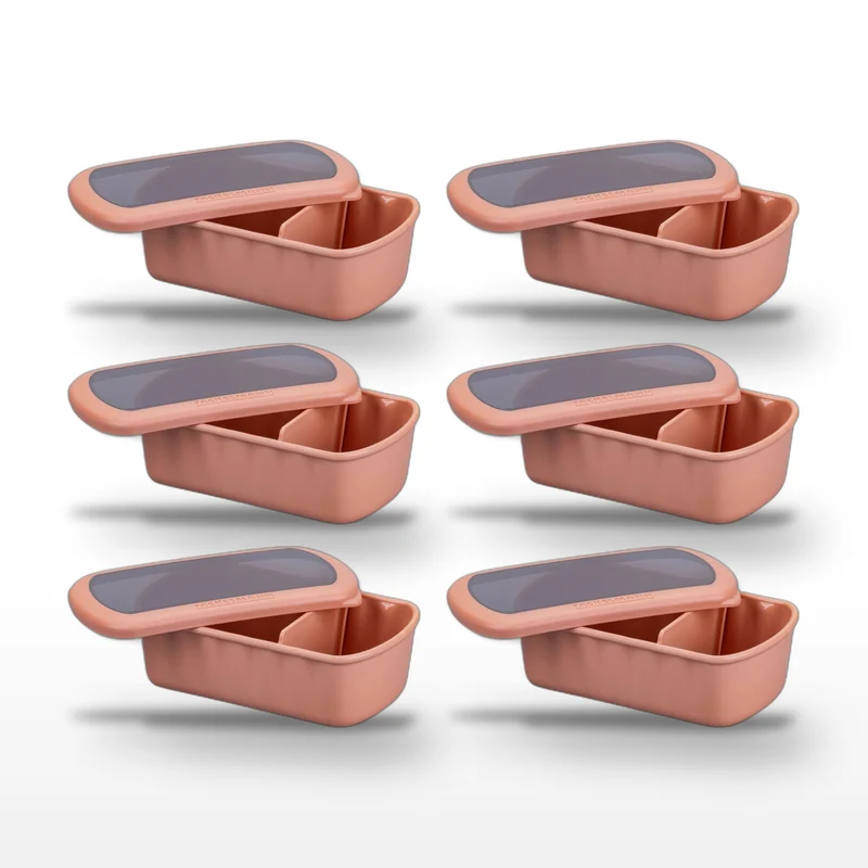 Lot de 6 lunch box compartiment avec 1L Fackelmann Storage