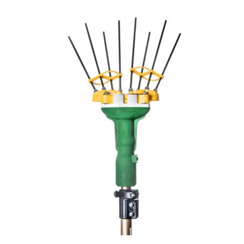 Récupérer des Olives 12V Mod.Adrian