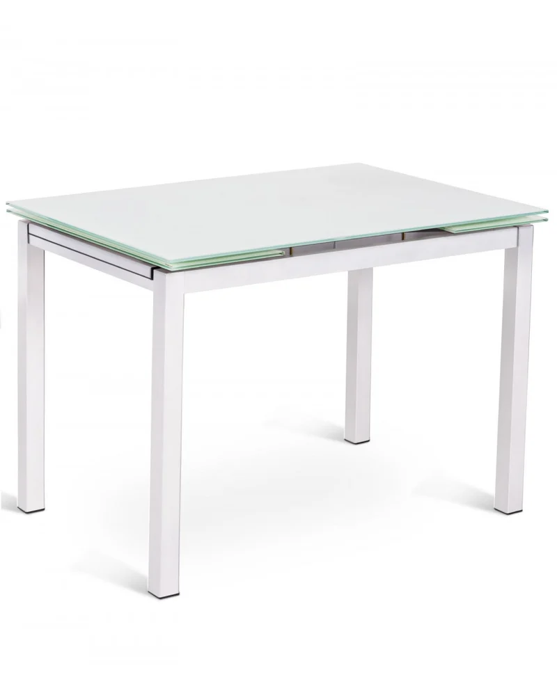 Table extensible 110-170 x 75 cm BAUD Bois clair