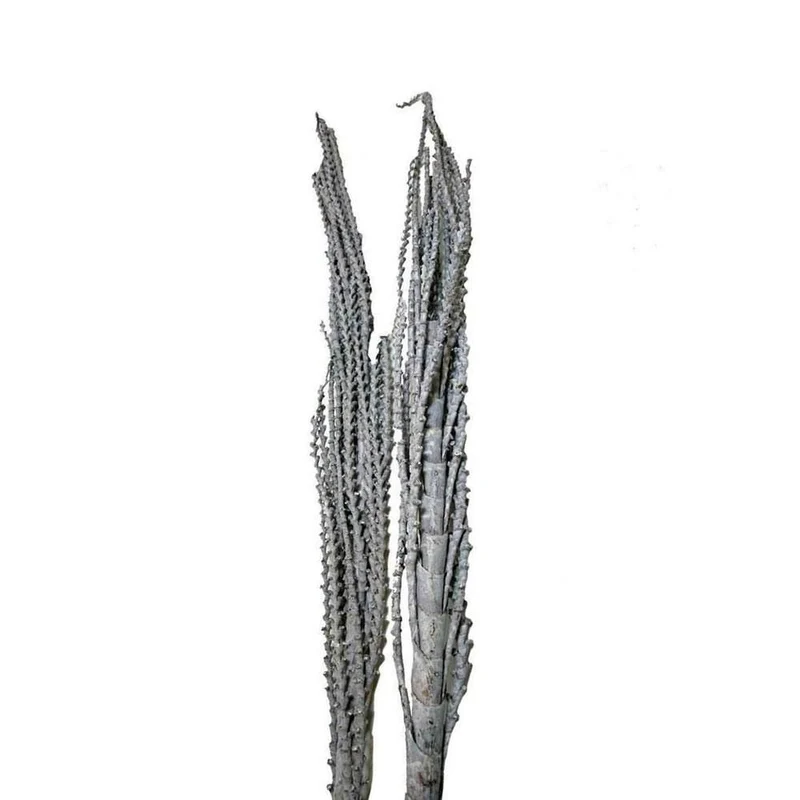 Galho buriti 150 cm givré naturel