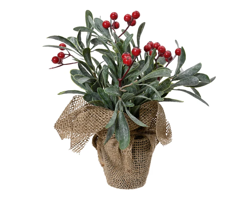 Plante de Noël verte et rouge 18x23 cm