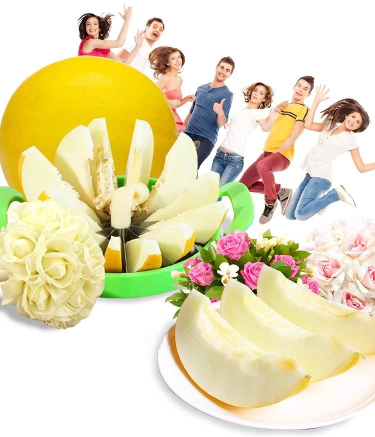 Trancheuse/Coupeuse de Pastèque et Melon pour 12 Tranches Parfaites