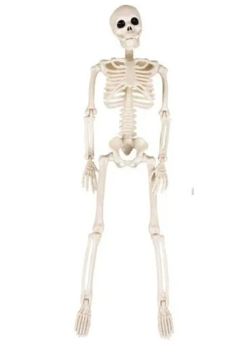 Halloween Deko 👻 Hängendes Menschliches Skelett 40cm Weiß Kunststoff 🎭 5900779956957