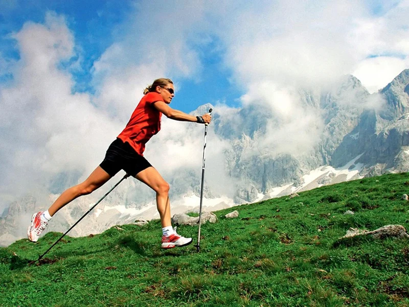 2x Nordic Walking Stöcke Teleskop 64-135 cm – Alu Antischock mit Korkgriff