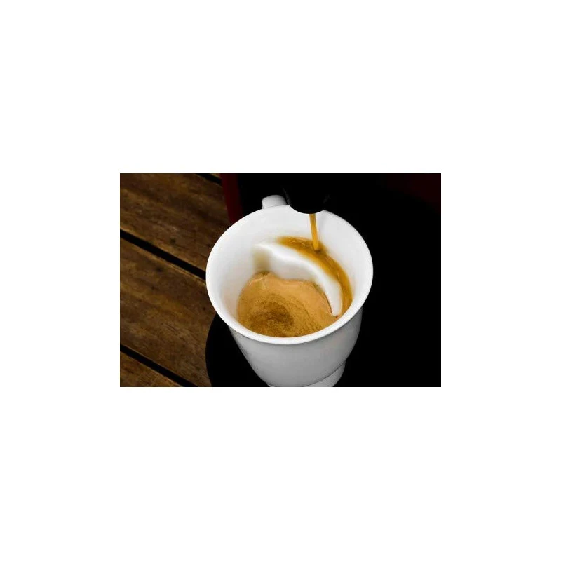 Coffret 4 Tasses expresso 9cl DELISSEA