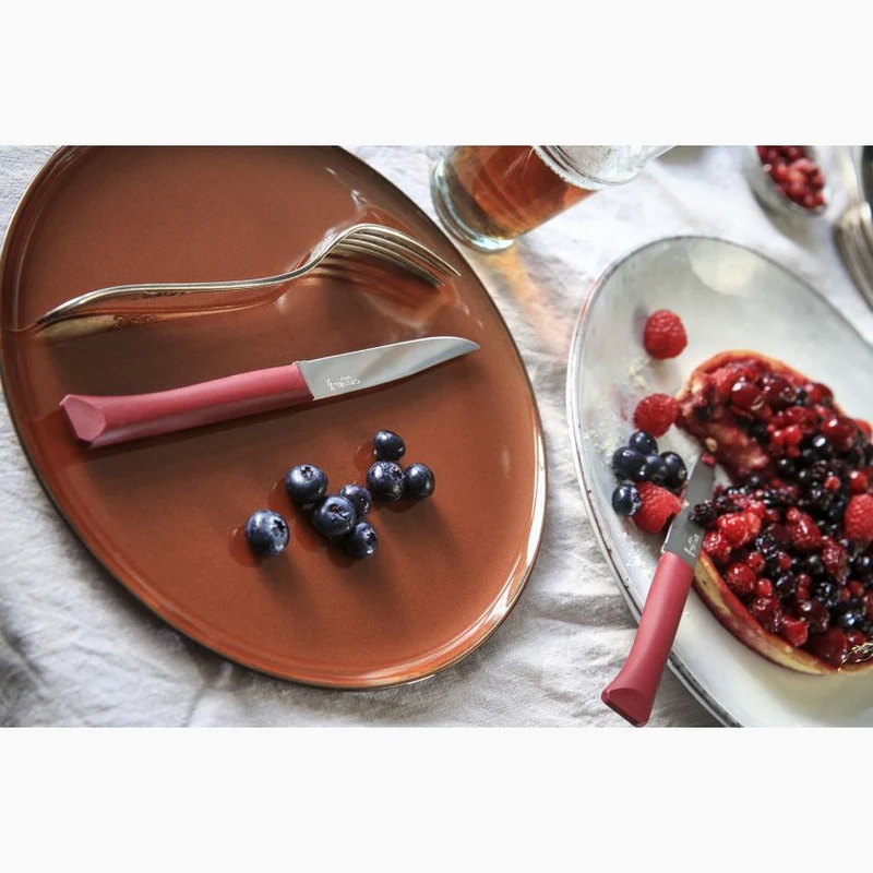 Couteau de table Bon Appétit + d' Opinel