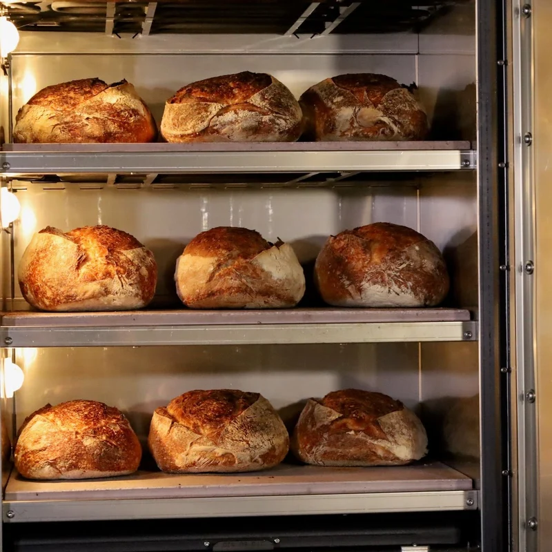 My Forno Single phase Bread/Pizza/Pastry Oven