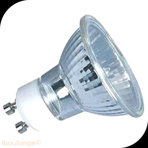Lampe Halogène Four (par lot de 3 pcs)