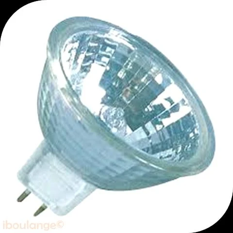 Lampe Halogène Four (par lot de 3 pcs)