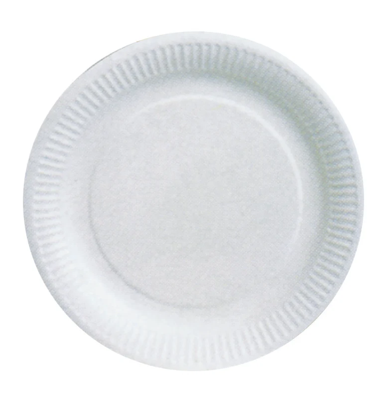 Assiette carton